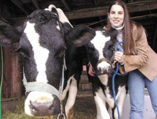 Enumclaw Holsteins Abby and Autumn make television debut