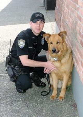 Man's best friend is newest addition to Buckley's force