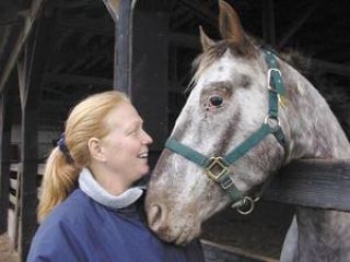 Special homes being sought for special horses