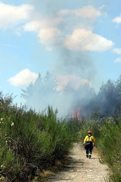 East Pierce firefighters are responding to a brushfire in Bonney Lake at the Falling Water subdivision.