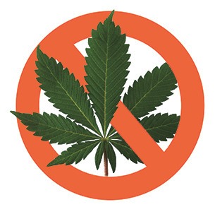 Marijuana ban news
