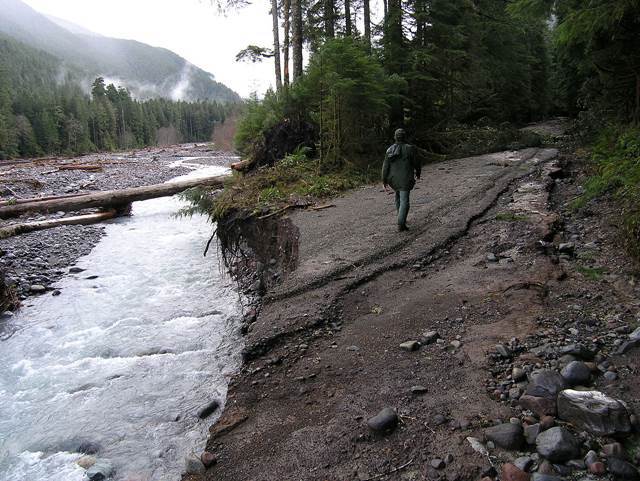 The Carbon River Road washes out