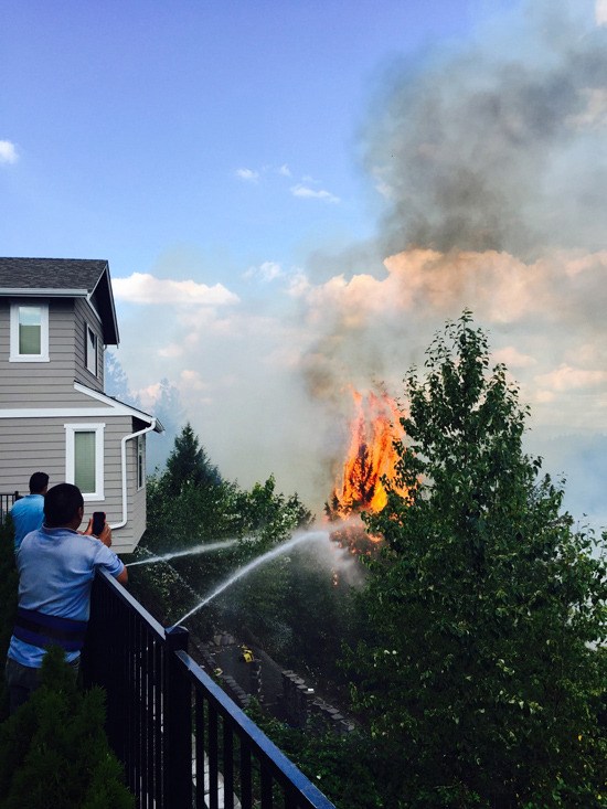 The fire near Panorama Heights crept within a few yards of houses on top of a hill.