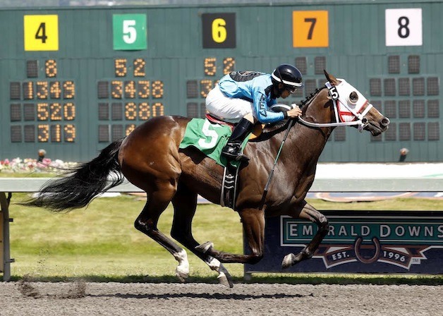 Trackattacker: R.E.V. Racing's Washington-bred Trackattacker looks to complete a perfect season Sunday in the $65
