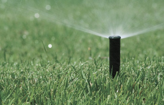 Bonney Lake is asking residents who use irrigation meters to cut their irrigation water use by 50 percent.