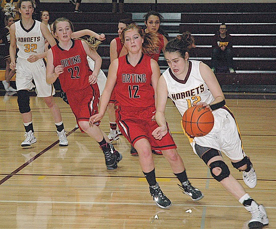 White River senior Amanda Lance heads upcourt with the ball during the Hornets’ Friday night thrashing of the visiting Orting Cardinals. Undefeated in league play