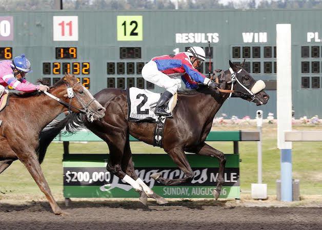 Betrbegone and jockey Leonel Camacho-Flores score a massive upset in the $50