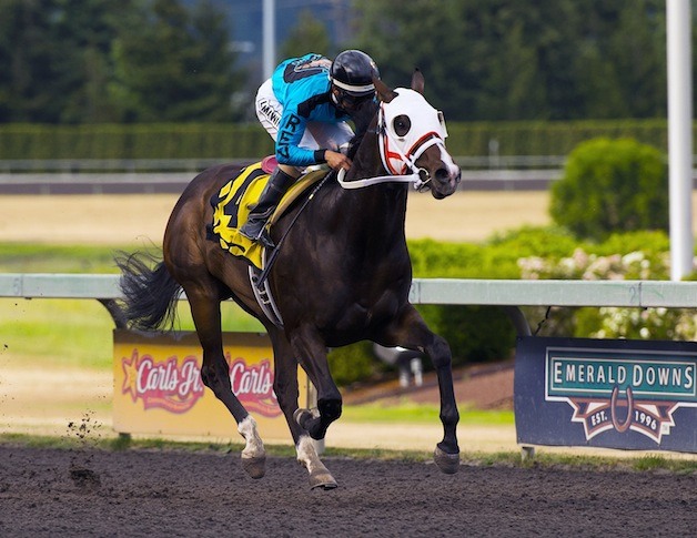 Trackattacker scores an 11-length victory in a stakes record 1:08.31 in the Emerald Express for 2-year-old colts & geldings at Emerald Downs.