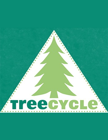 How to recycle your Christmas tree after this holiday season.