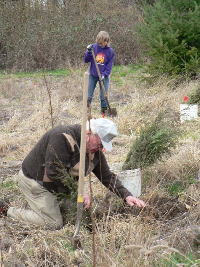 Mayor Enslow planting trees a few years ago. Others continued this tradition last Saturday.