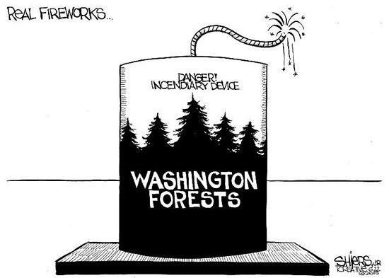 Real fireworks are dangerous.