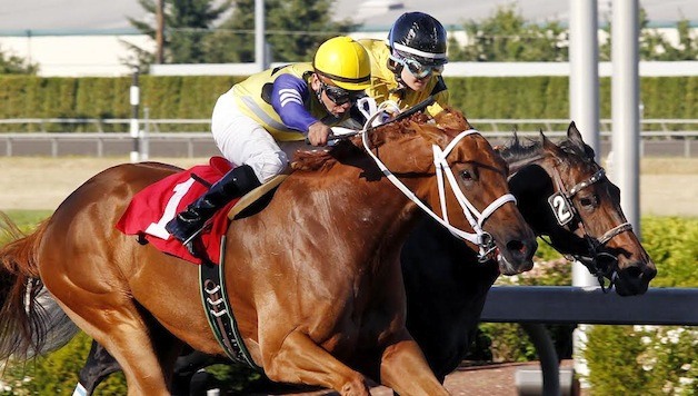 Sunpenny (No. 1) and Cheeky Stone converge on the wire for a dead-heat Saturday in the $18