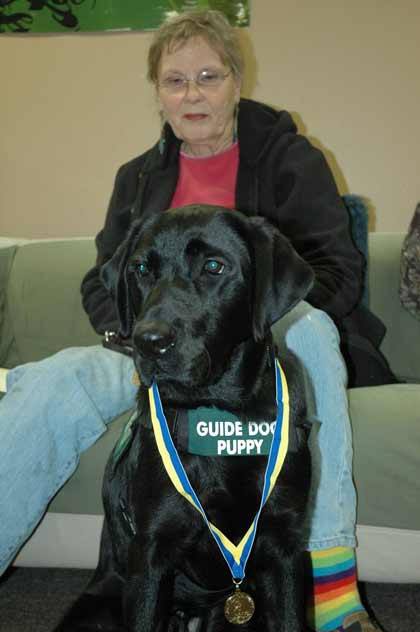 Future guide dog Tanker