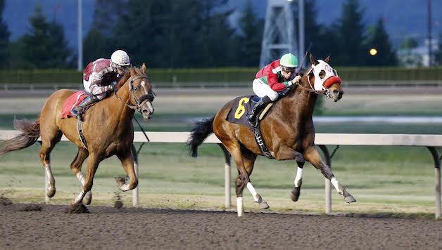 Italian Warrior (No. 6) holds off Cinematic Cat for the victory in Fridays $11