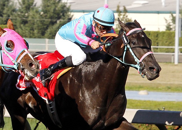 2-year-old colt Noosito is among 10 2-year-olds entered in the $75