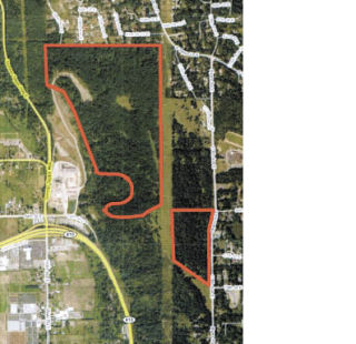 The red highlighted areas are where two forest permits were approved to clear trees.