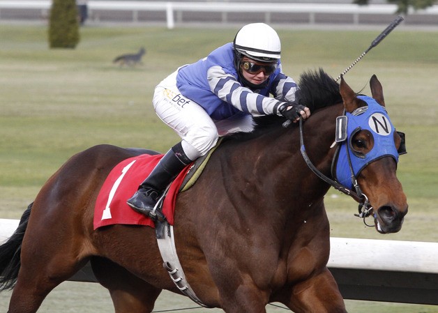 Jockey Eliska Kubinova had a career day Wednesday when she brought home five winners on the program.