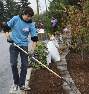 A team from 2011 Beautify Bonney Lake rakes leaves.