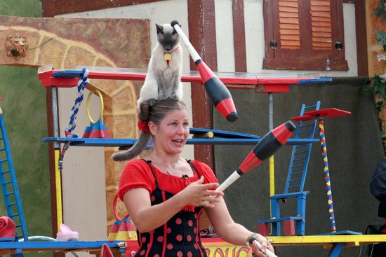 The Midsummer Renaissance Faire in Bonney Lake started earlier this month and continues through Sataurday. Performers like Melissa Artleth and her cat