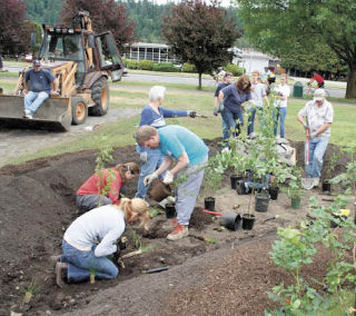 Volunteers turned out in Orting earlier this year to install a community rain garden.