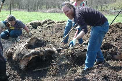 Jeff Bradley and university students helped dig up whale bones left to decompose in an Enumclaw field.