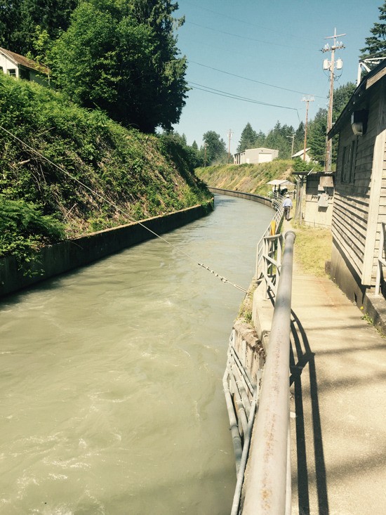 Water flows down the flume in White River to fill Lake Tapps.