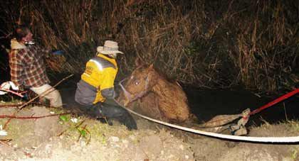 With a hand from WASART volunteers