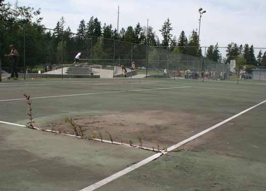 The tennis courts and basketball court at Allan Yorke Park will be resurfaced this summer.