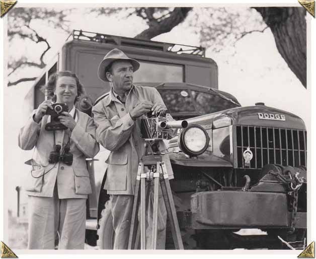 Alfred and Elma Milotte are seen here in Africa filming their 1955 documentary 'The African Lion.'