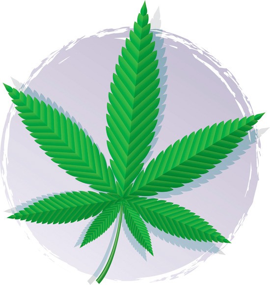 Pierce County Executive Pat McCarthy vetoed June 30 a County ordinance hat requested the Planning Commission to consider amendments to the County Code related to marijuana production