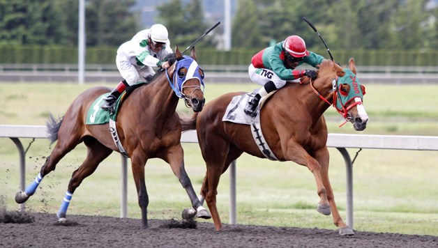 Orlando Xpress and jockey Rocco Bowen (No. 2) hold off He's a Cruiser and Gallyn Mitchell to win the feature race for 3-year-olds on Memorial Day at Emerald Downs. May 28