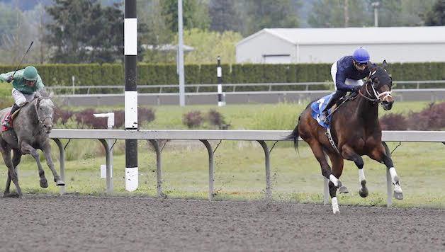 Calculated Chaos romps home under Juan Gutierrez in the Sunday feature race at Emerald Downs.