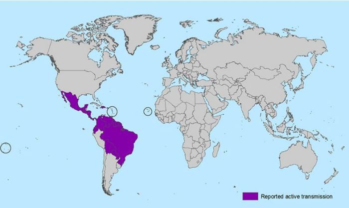 Areas affected by the Zika virus.