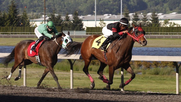 Champali Lace edges clear of Clemens Brook in the feature race for fillies and mares at Emerald Downs. May 4