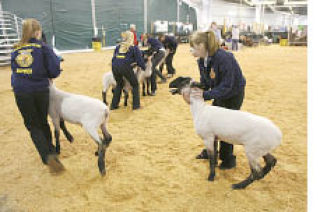 Local students will be showing their animals at the Northwest Junior Livestock Show and Sale.