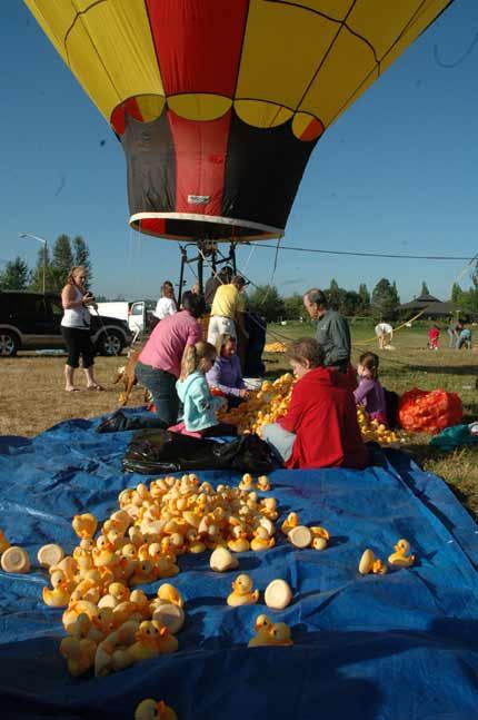It takes plenty of volunteers from the Enumclaw Rotary and Enumclaw Regional Healthcare Foundation to make the annual Duck Drop happen.