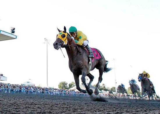 Point Piper wins the 2016 Longacres Mile Aug. 14 at Emerald Downs.