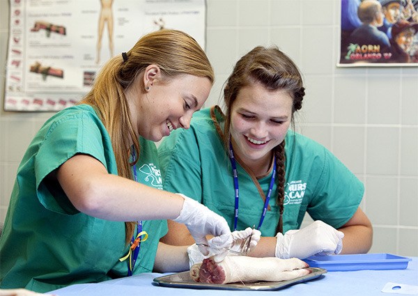 Jaime Lange (right) works with a fellow student to suture a pig leg.