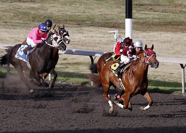 Idaho-bred Bh Lisas Boy and jockey Javier Matias set a stakes record while winning the fifth running of the Bank of America Emerald Downs Championship Challenge.
