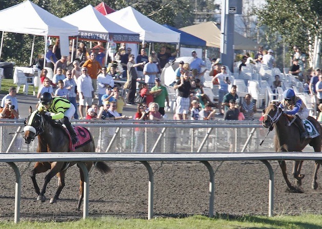 Michael & Amy Feuerborn's homebred Chu and You attempts to reassert her winning ways Sunday in the $50