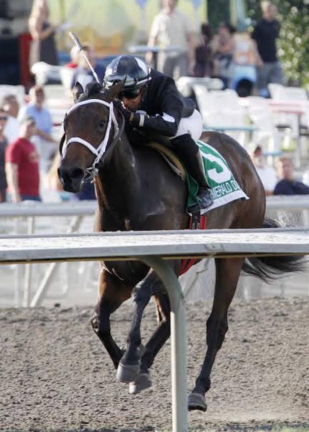 Ethan's Baby scores a decisive victory in the 2014 Angie C Stakes at Emerald Downs.