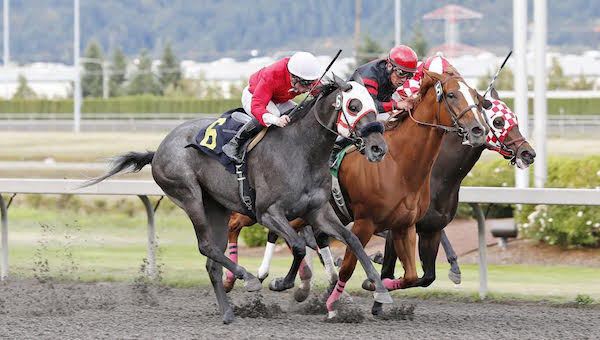 Bella Colomba (No. 6) and jockey Julien Couton prevail in Saturday's $18