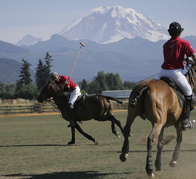 Seattle Polo and Equestrian Club