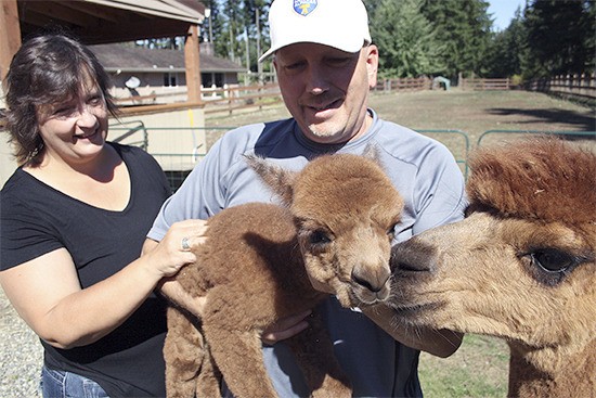 Jeff and Lorrie Williamson holding newborn alpaca Ruger with mother close by.