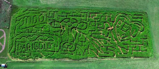 The corn maze features an image of Lulu