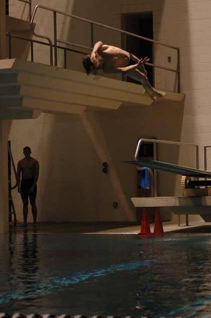 Sumner's Evan Quaschnik finished third in the state diving competition.