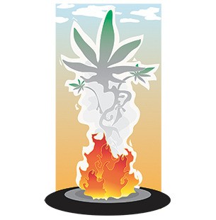 Smoke signals marijuana series