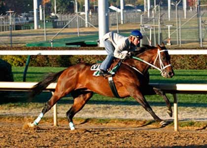 Atta Boy Roy and jockey Calvin Borel in a morning workout at Churchill Downs