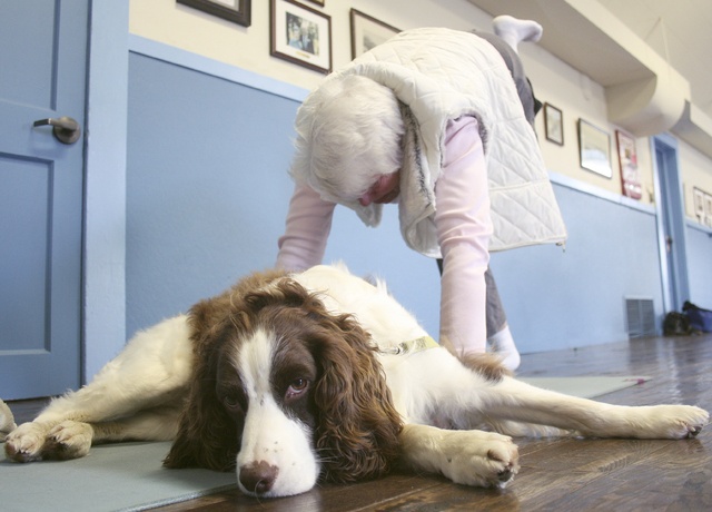 Pam Pederson stretches as her dog Gabby lies calm. Photo by Ray Still.
