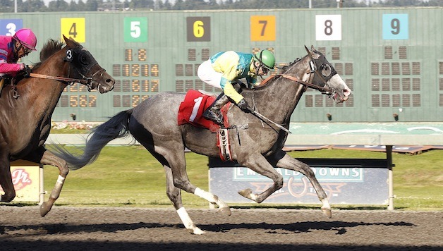 John & Janene Maryanski's 5-year-old gelding Rocky's Quest scores a three-quarter-length victory in the $19